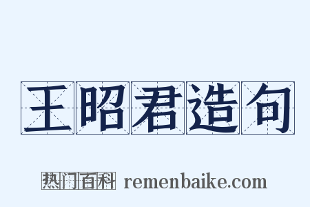 王昭君造句是什么意思的图片